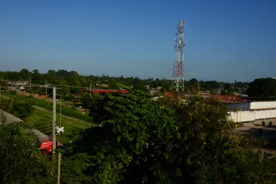 DSC_8010 (Large).JPG